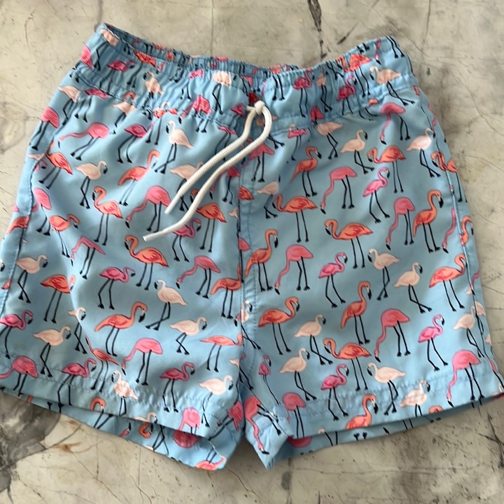 Flamingo swimming shorts